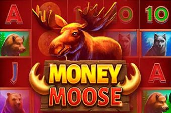 Money Moose